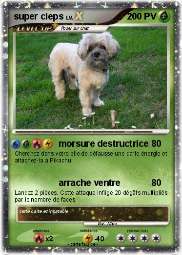 Pokemon super cleps