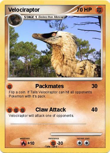 Pokemon Velociraptor