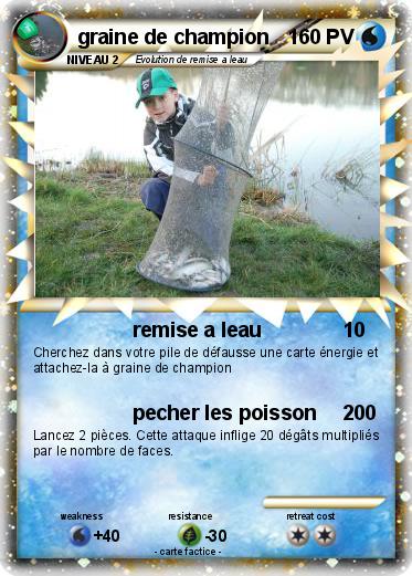 Pokemon graine de champion