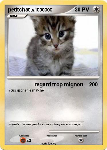 Pokemon petitchat