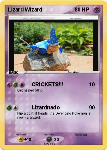 Pokemon Lizard Wizard