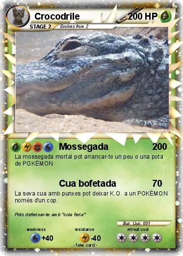 Pokemon Crocodrile