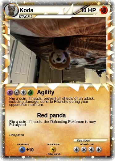 Pokemon Koda