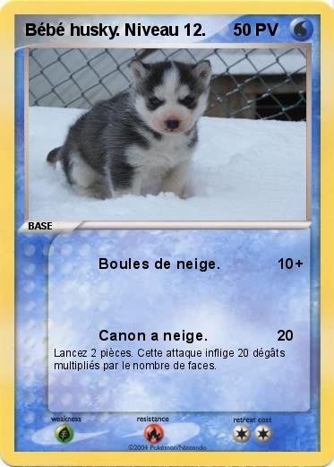 Pokemon Bébé husky. Niveau 12.