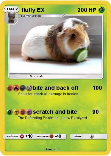 Pokemon fluffy EX