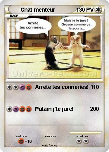 Pokemon Chat menteur