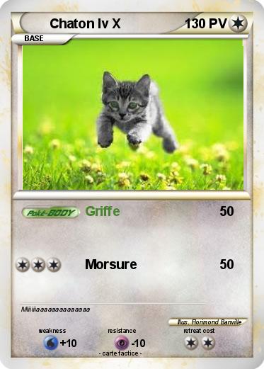 Pokemon Chaton lv X