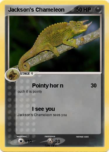 Pokemon Jackson's Chameleon