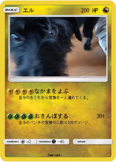 Pokemon エル