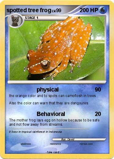 Pokemon spotted tree frog