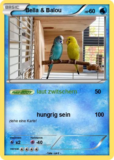 Pokemon Bella & Balou