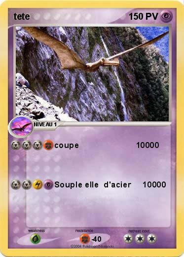 Pokemon tete