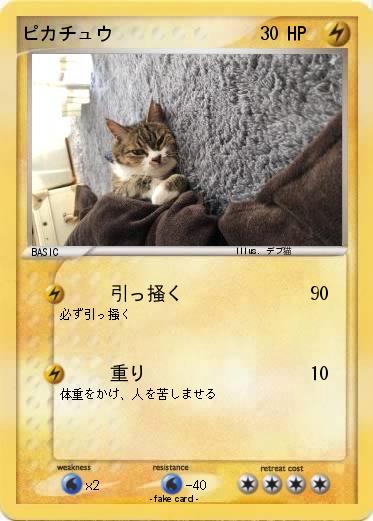Pokemon ピカチュウ