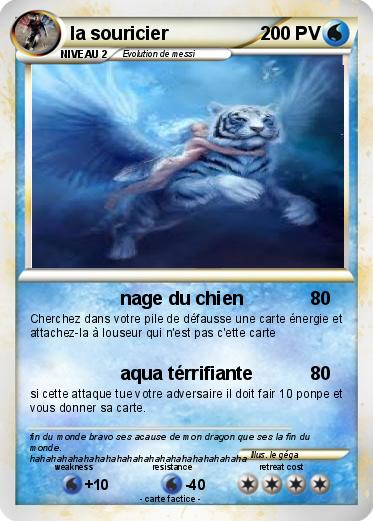 Pokemon la souricier