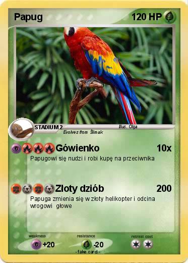 Pokemon Papug