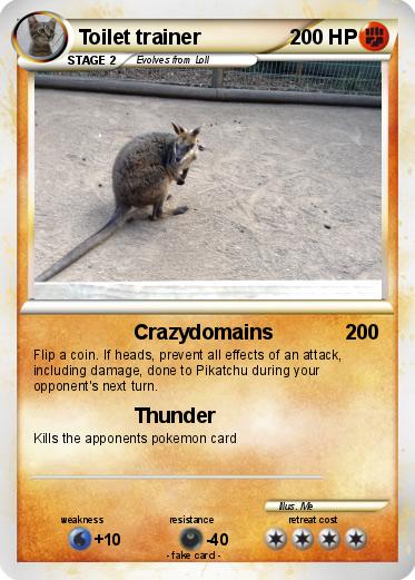 Pokemon Toilet trainer