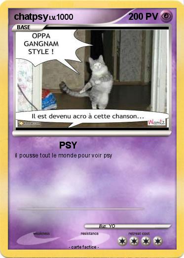 Pokemon chatpsy