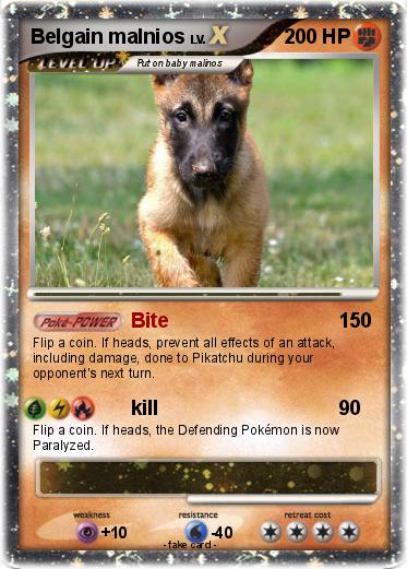 Pokemon Belgain malnios