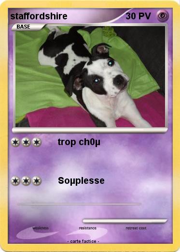 Pokemon staffordshire