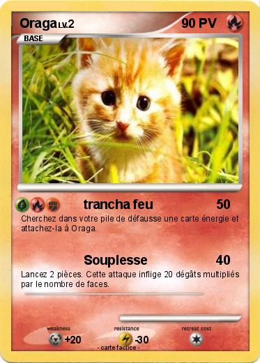 Pokemon Oraga