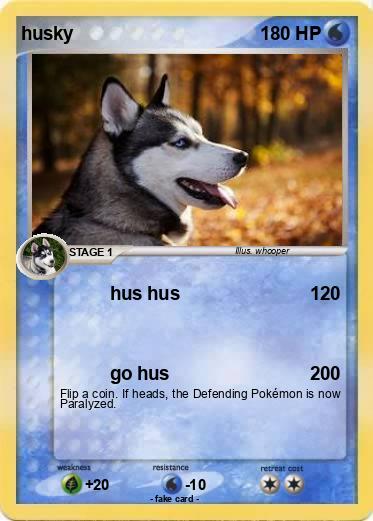 Pokemon husky