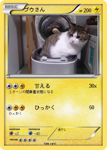 Pokemon プウさん