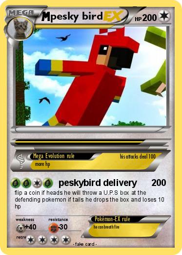 Pokemon pesky bird