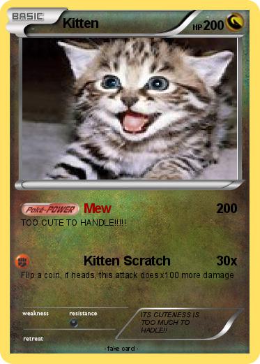 Pokemon Kitten
