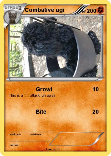 Pokemon Combative ugi