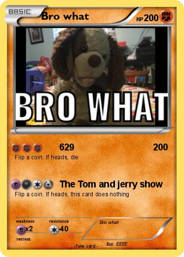 Pokemon Bro what