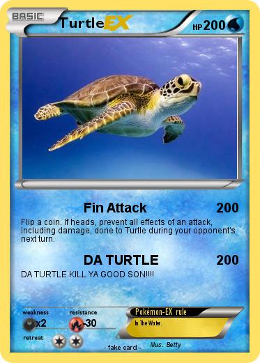 Pokemon Turtle