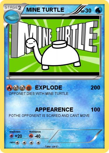 Pokemon MINE TURTLE