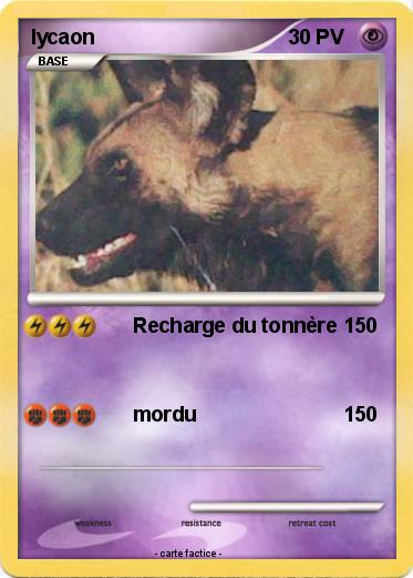 Pokemon lycaon