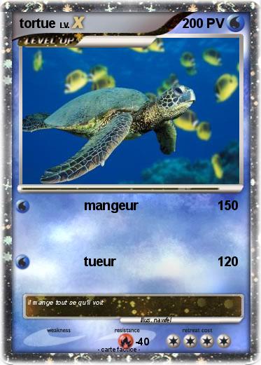 Pokemon tortue