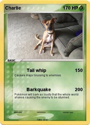 Pokemon Charlie