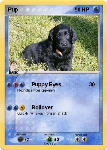 Pokemon Pup