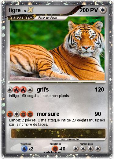 Pokemon tigre