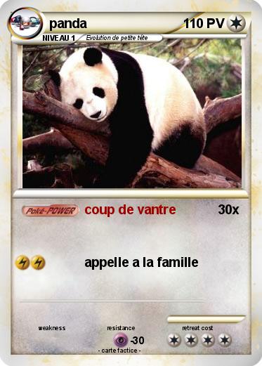 Pokemon panda