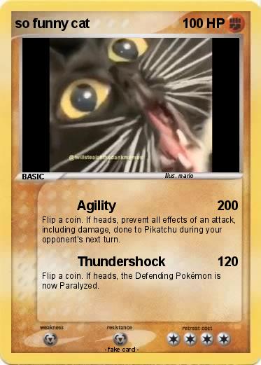 Pokemon so funny cat