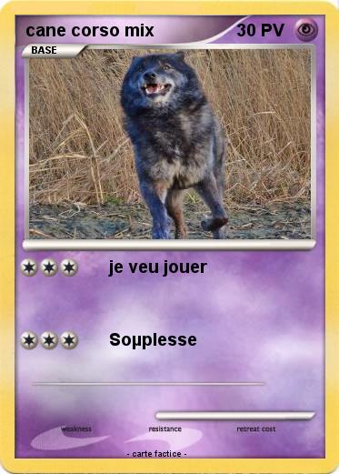 Pokemon cane corso mix