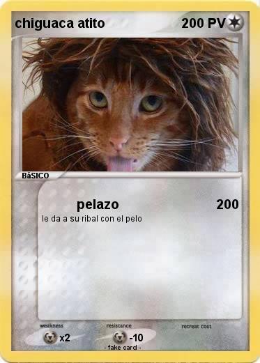 Pokemon chiguaca atito