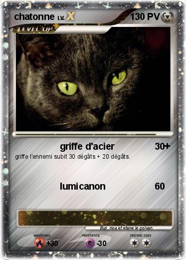Pokemon chatonne