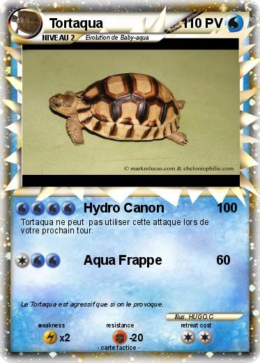 Pokemon Tortaqua
