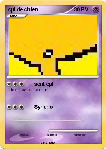 Pokemon cµl de chien