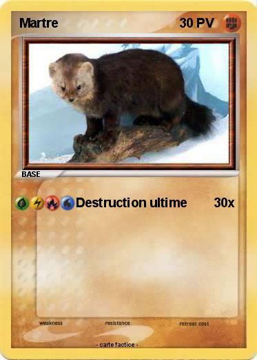 Pokemon Martre
