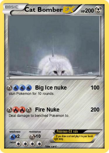 Pokemon Cat Bomber