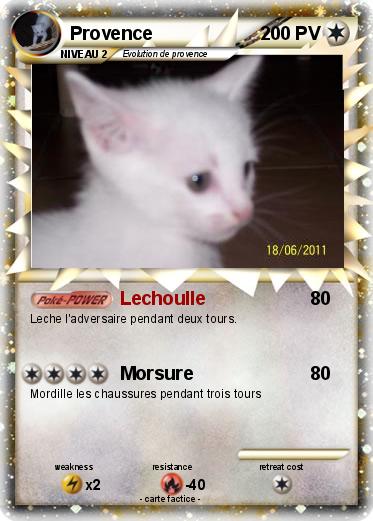 Pokemon Provence