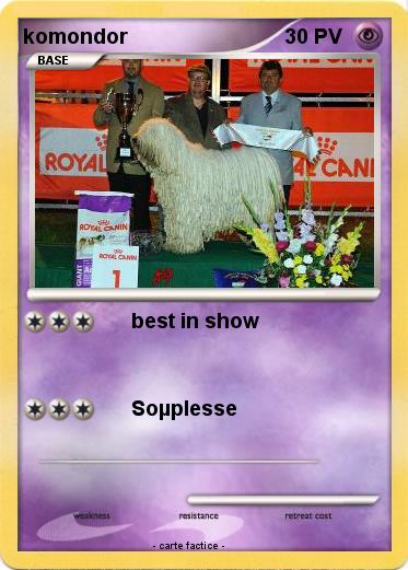 Pokemon komondor