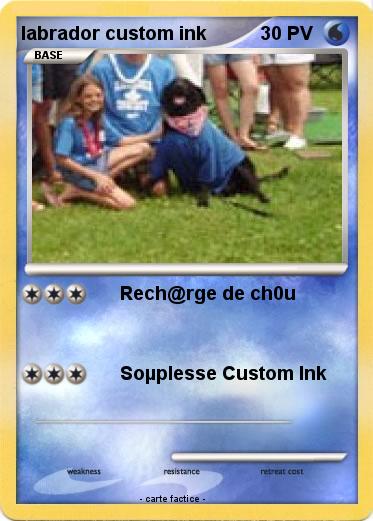 Pokemon labrador custom ink