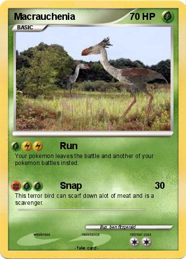 Pokemon Macrauchenia